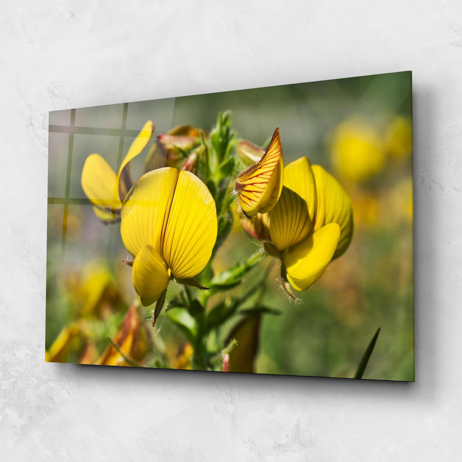 Pretty Spring Yellow Flower mockup 1