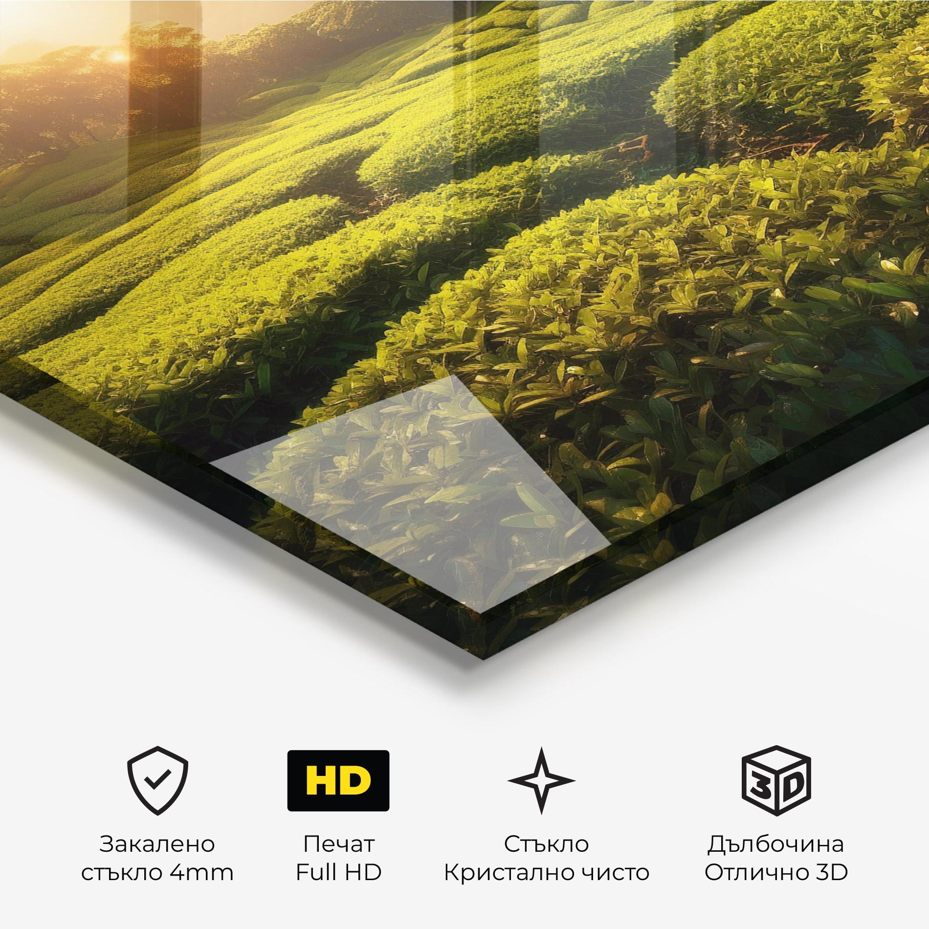 Стъклена картина Tea Fields mockup 3