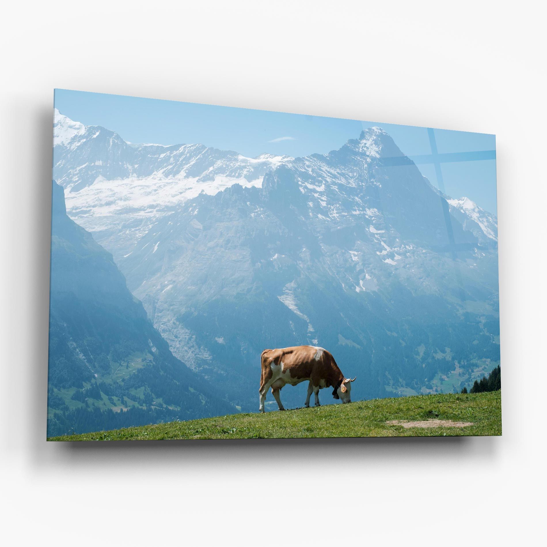 Cow Mountain mockup 6