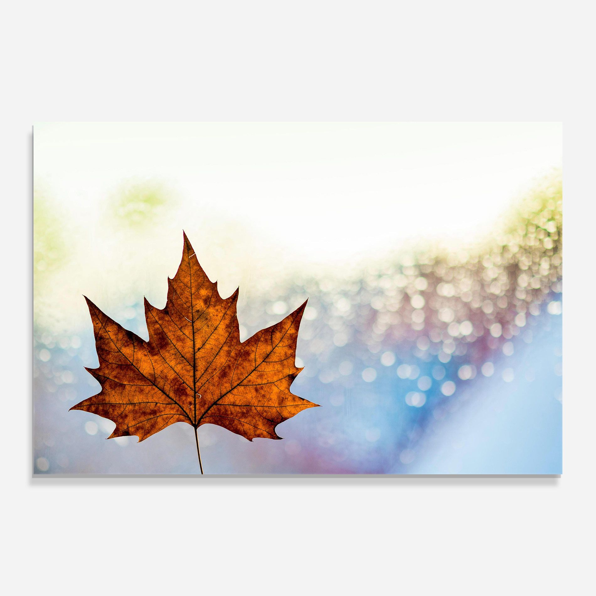 Brown Orange Leaf mockup 0