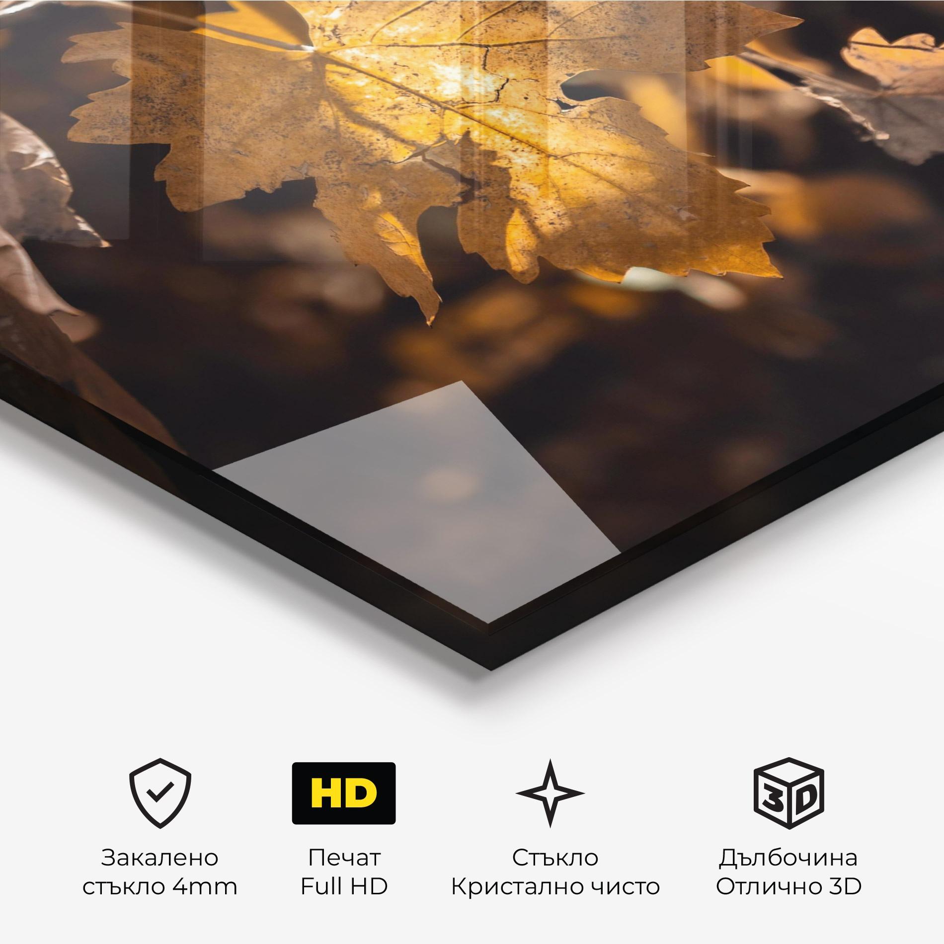 Стъклена картина Autumn Brown Leaf mockup 3