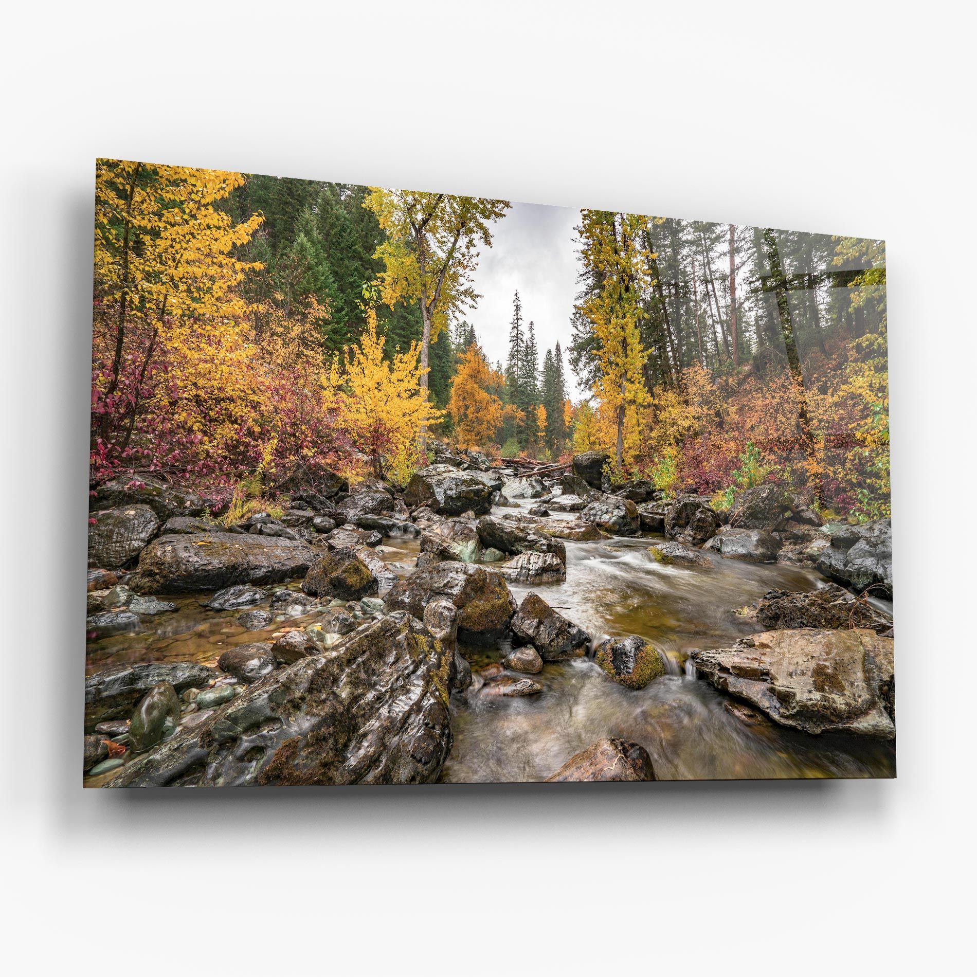Autumn Stream mockup 6