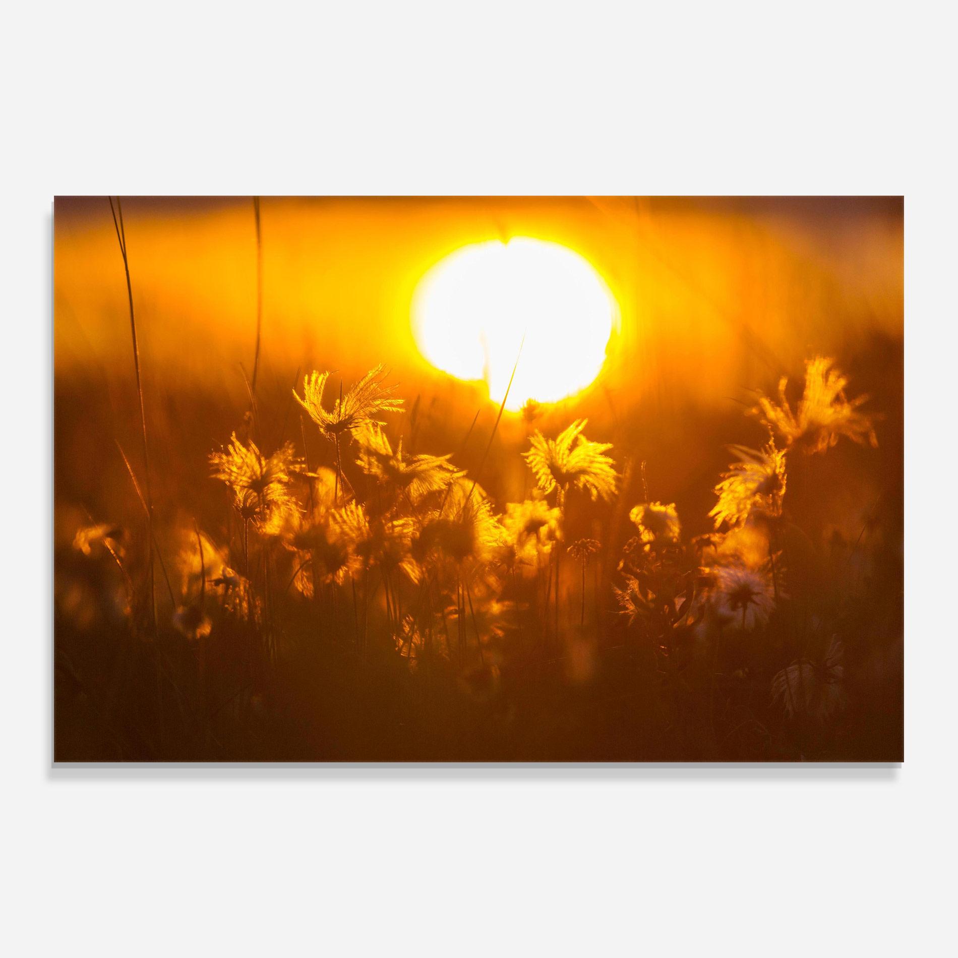 Стъклена картина Wildflowers mockup 0