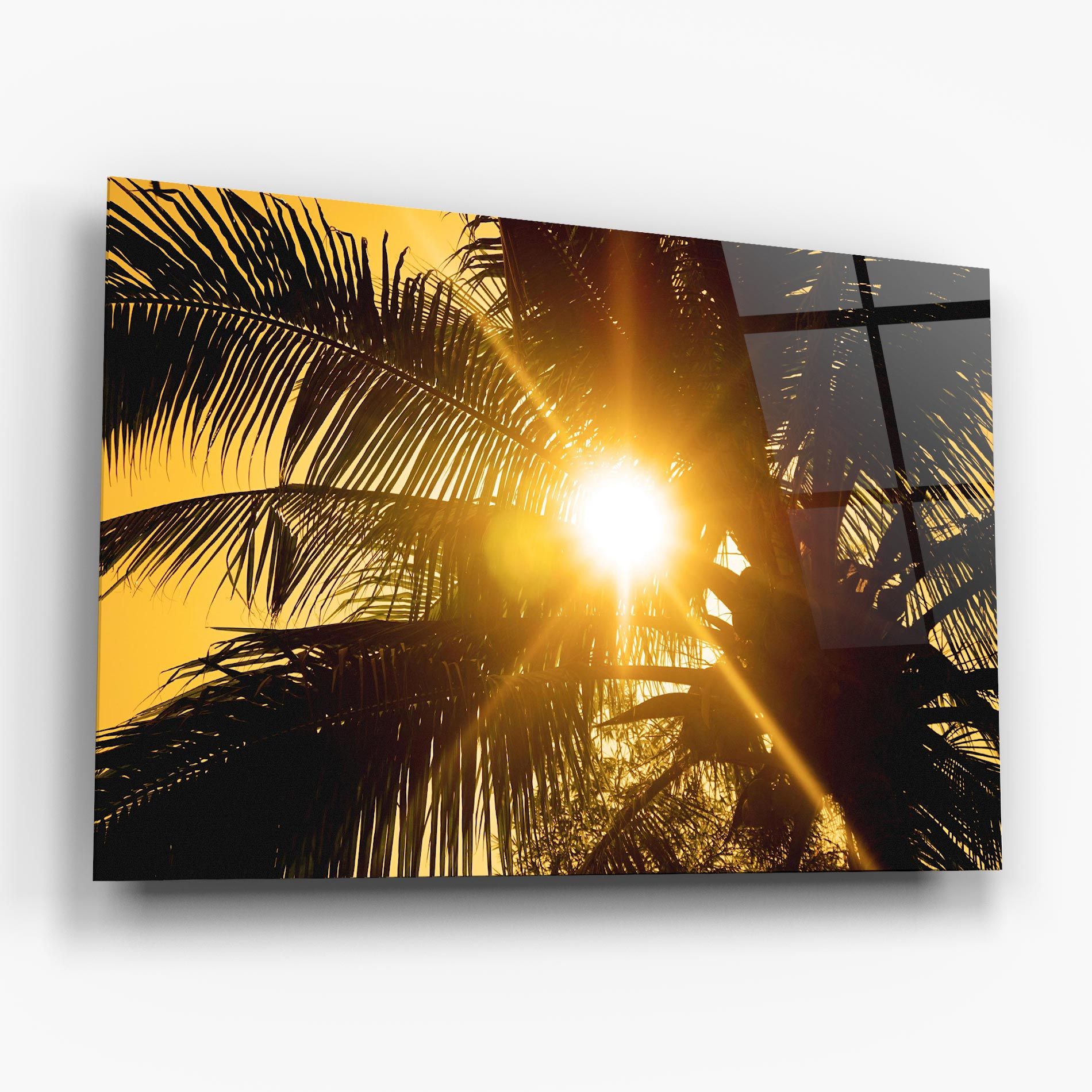 Palm Trees Sun mockup 6