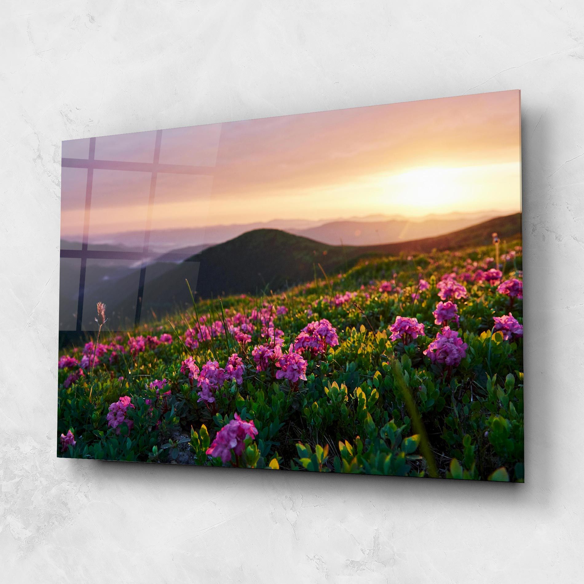 Purple Summer Flowers mockup 1