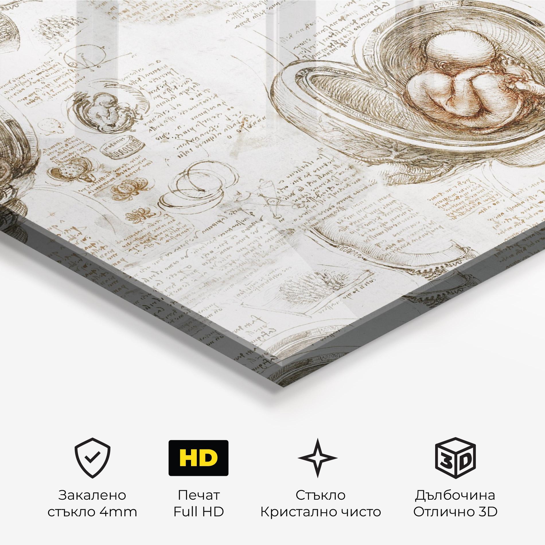 Стъклена картина Leonardo Studies Of The Foetus mockup 3