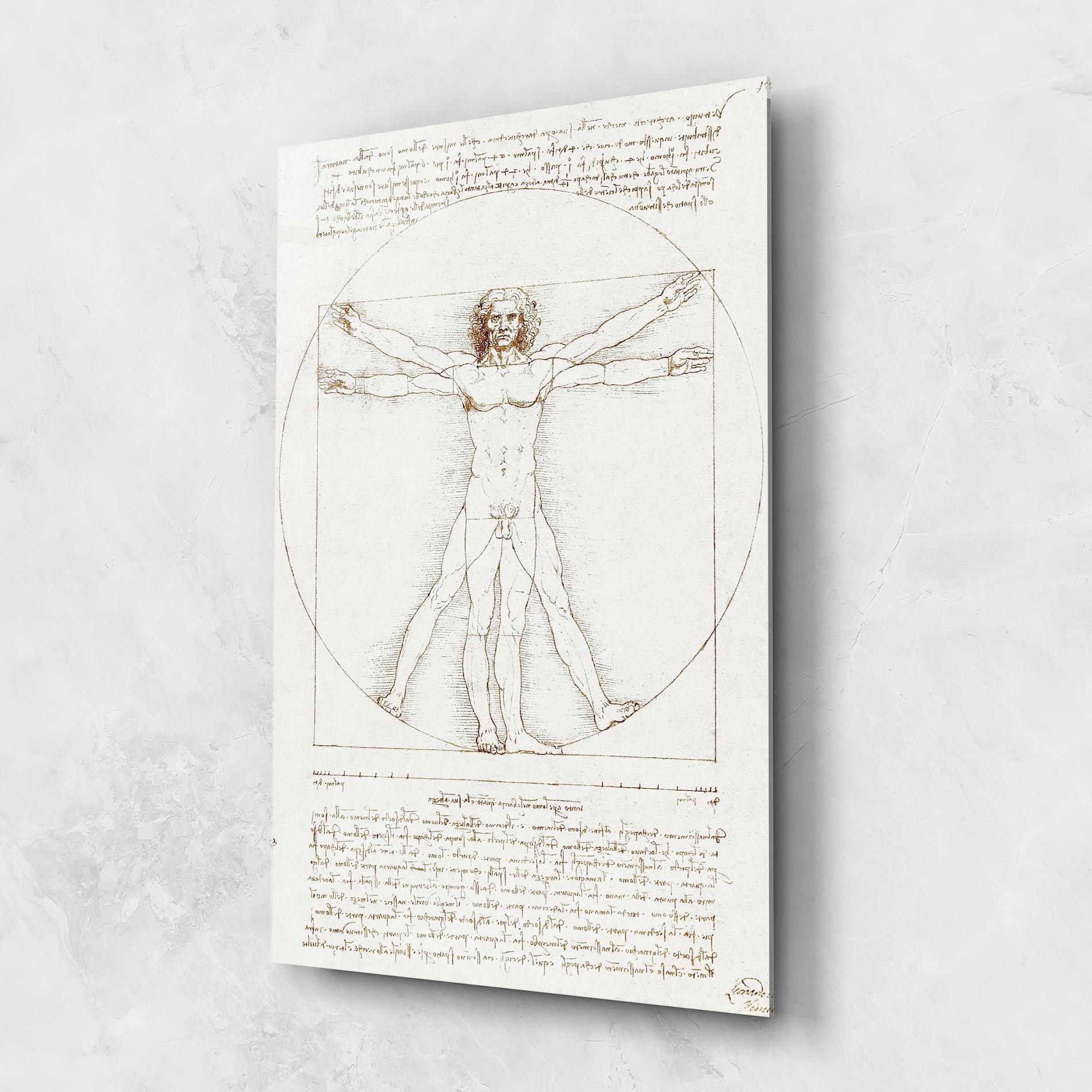 Leonardo Da Vinci's Vitruvian Man mockup 1
