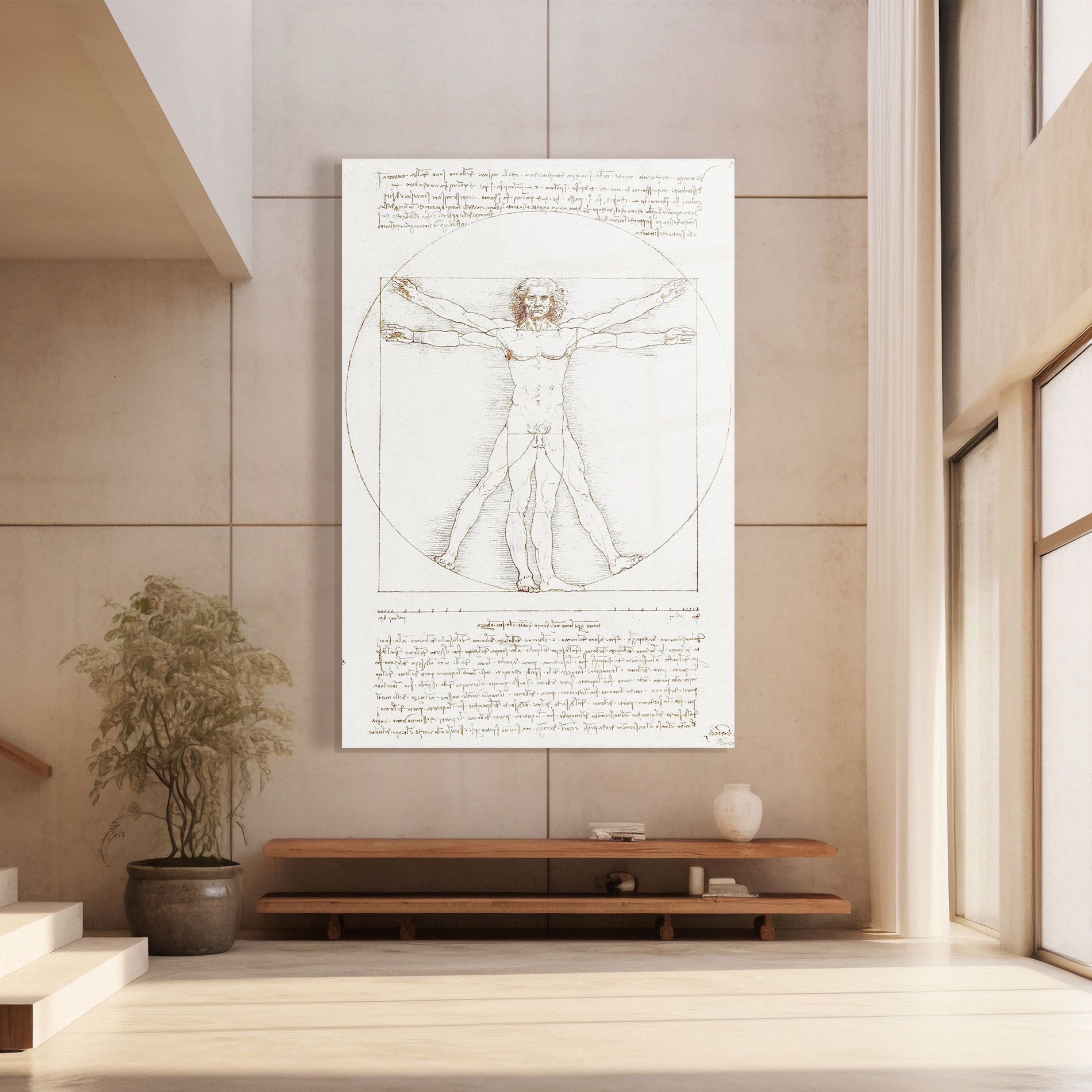 Leonardo Da Vinci's Vitruvian Man mockup 8