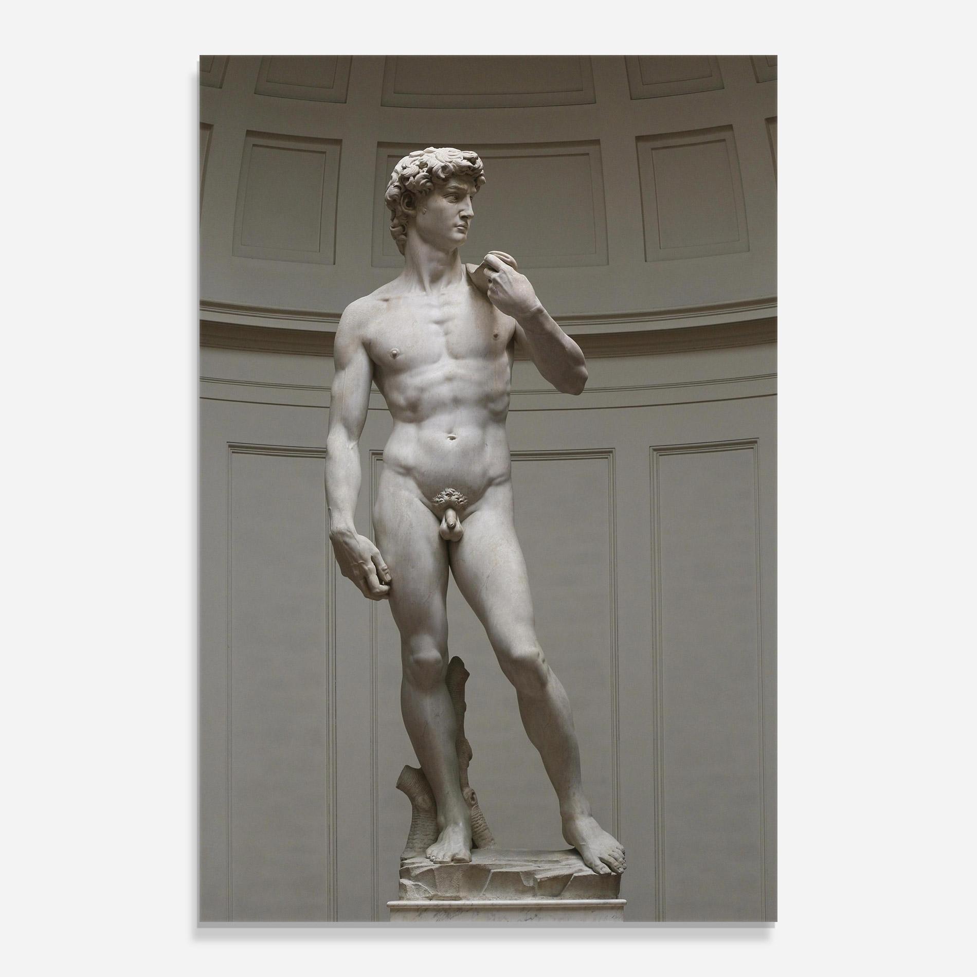 Стъклена картина Michelangelo Statue mockup 0