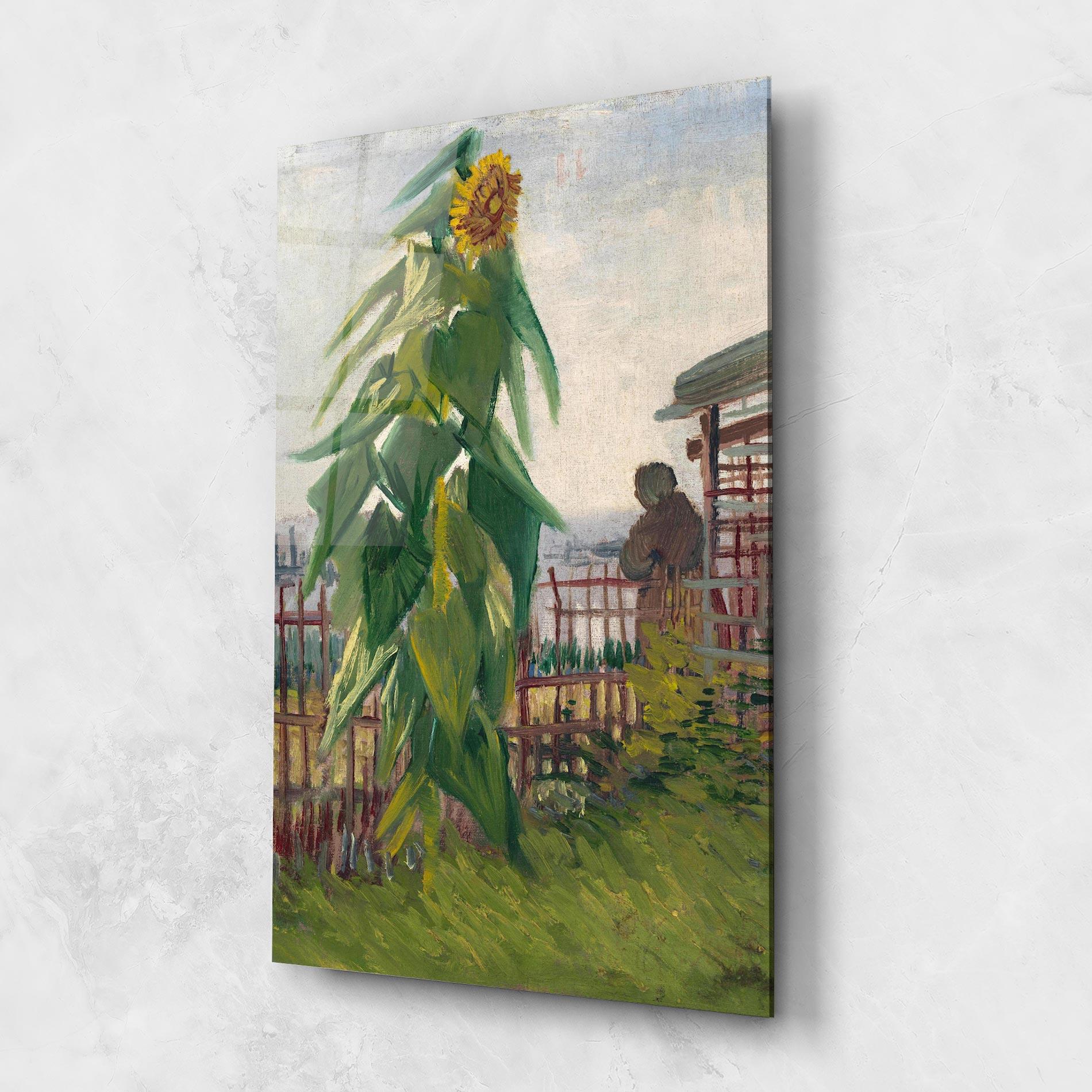 Стъклена картина Allotment With Sunflower mockup 1