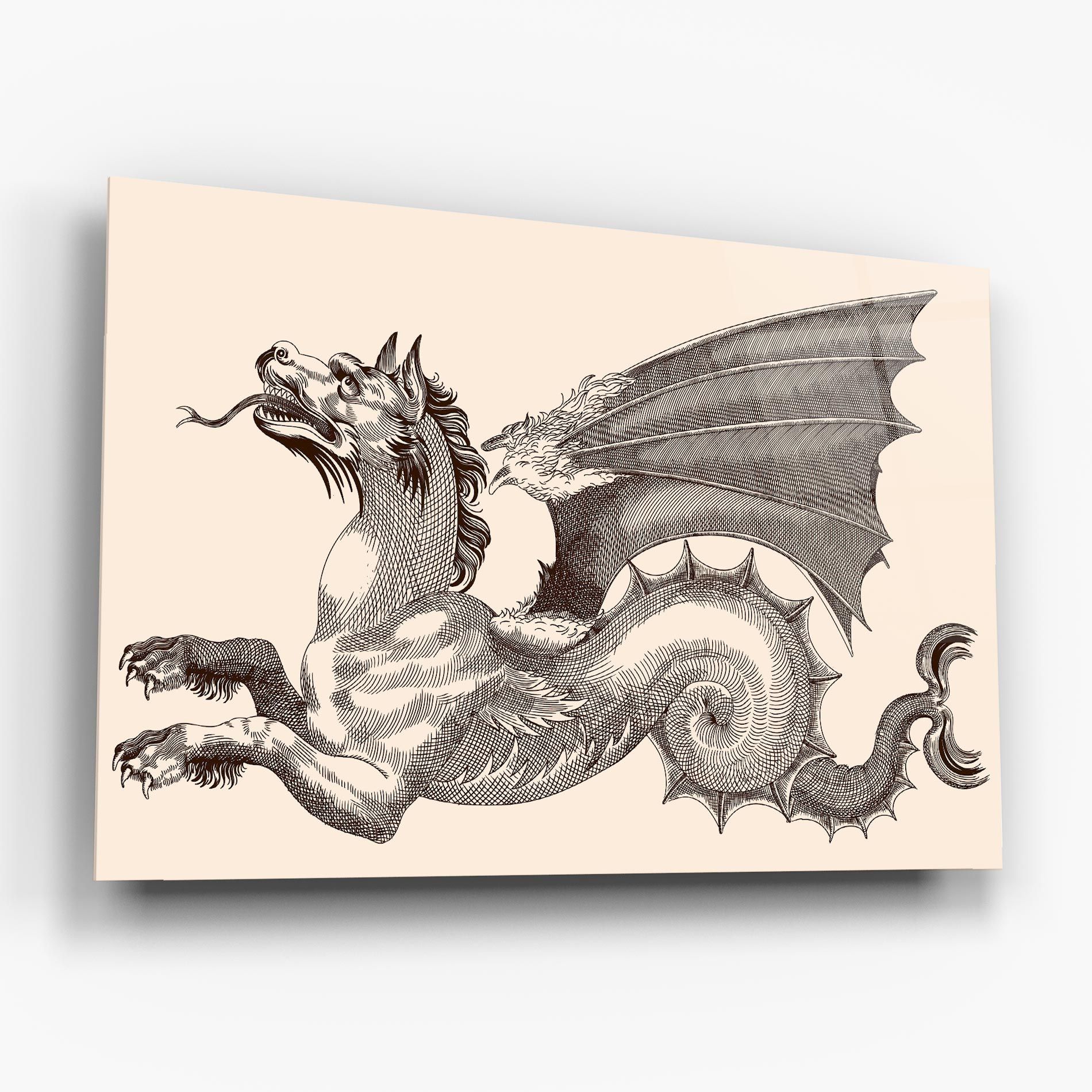 Brown Dragon mockup 6